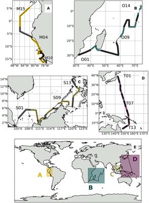 Soluble Iodine Speciation in Marine Aerosols Across the Indian and Pacific Ocean Basins